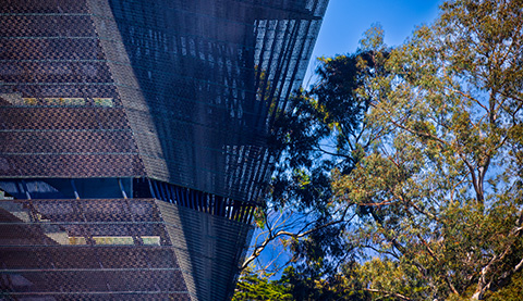 Modernes Gebäude neben Bäumen