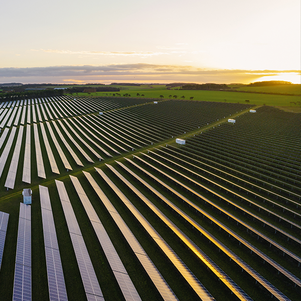 An aerial view of the Kotun Solar Project in Poland, showcasing an expansive green field covered with numerous solar panels adjacent to farmland.