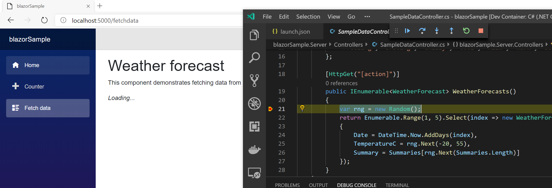 Setting a breakpoint