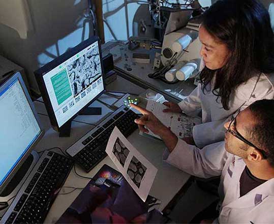 Two scientists working at a computer screen in a laboratory.