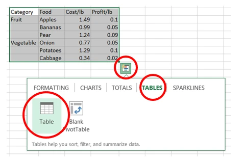 graphical user interface, application, table