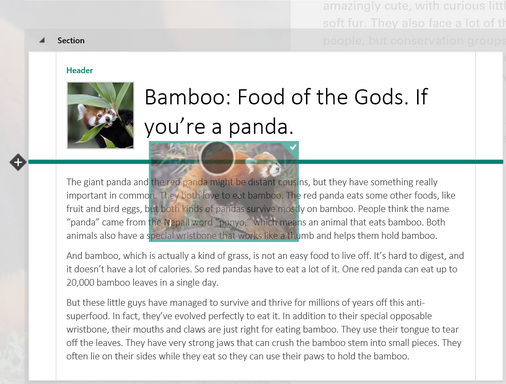 Bamboo food