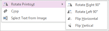 rotate printout menu option