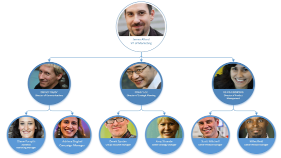Visio Organization Chart Coin style