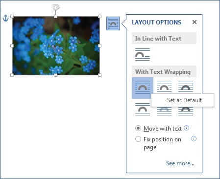 Layout Options