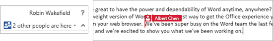 an individual is editing a document