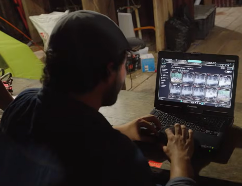 A man sitting in front of a laptop reviewing wildlife research photos