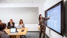Image of a woman in a conference room presenting and gesturing at a projector slide on display.