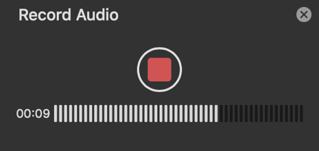 Record audio.png