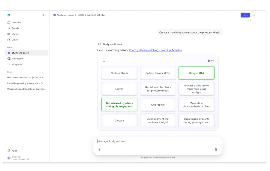 A screenshot of a matching practice activity.