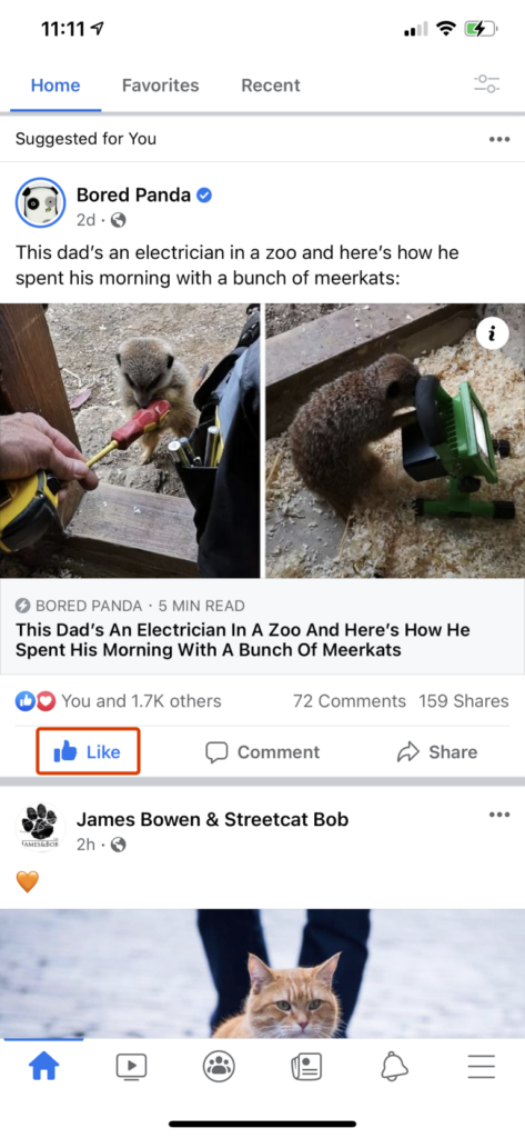 Facebook uses existing public interaction data as feedback.