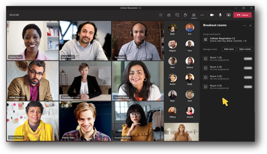 gallery of people in a virtual meeting