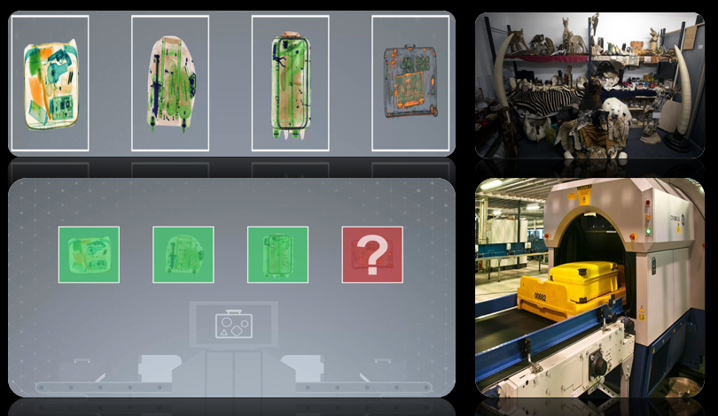 Microsoft's Project SEEKER technology improves detection rates of illegally trafficked wildlife at ports and borders.