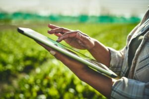 Shot of an unrecognisable woman using a digital tablet while working on a farm.