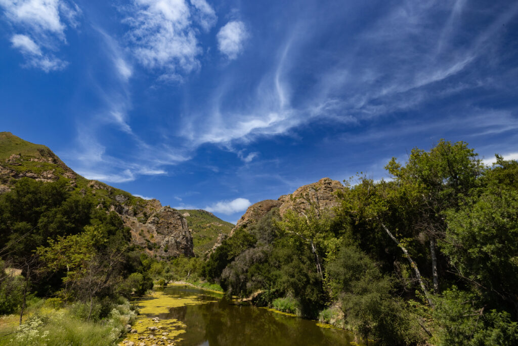 View of still waters at Malibu Creek State Park within the Santa Monica Mountains National Recreation Area in California. Planet of the Apes was filmed in this park.