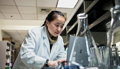 Frau in einem Labor tippt auf ihrem Microsoft Surface Book.