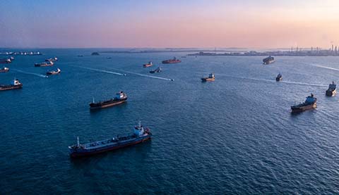 Einige Containerschiffe im Meer.