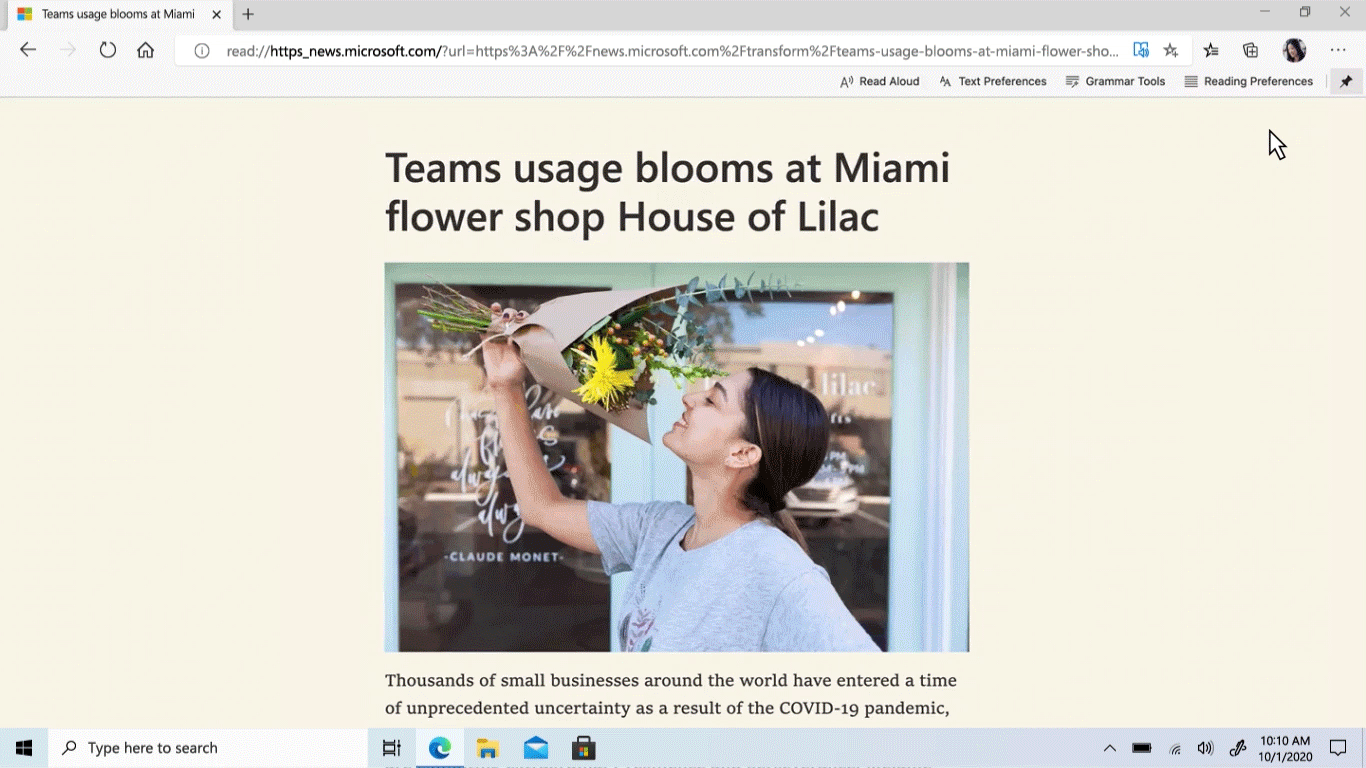 An animated image of Picture Dictionary.