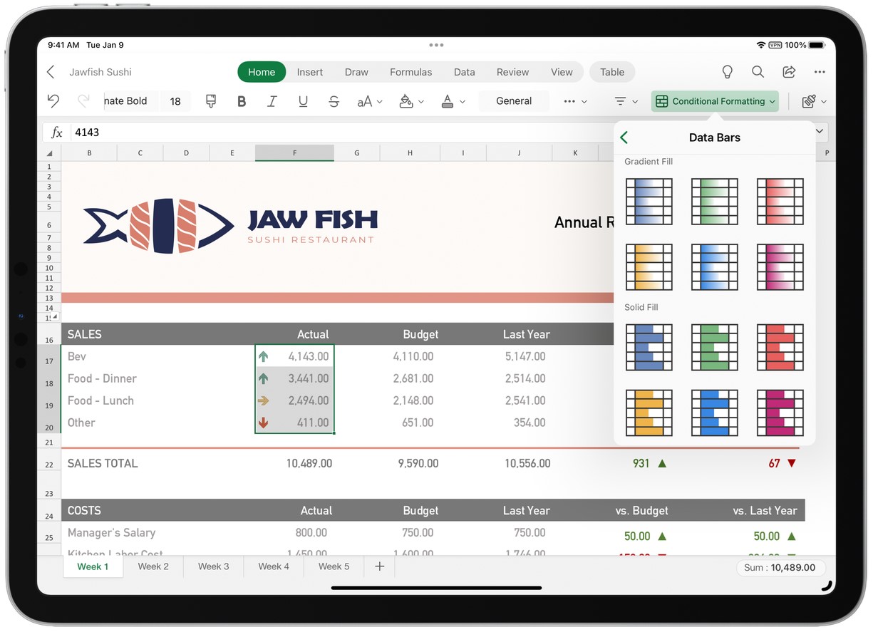 Microsoft Excel app on an iPad device using Conditional formatting feature.