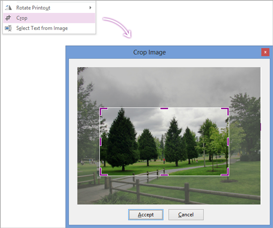 Image is being cropped