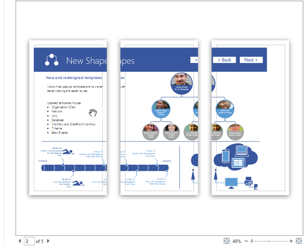 The Print Preview Pane