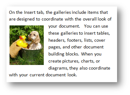 Photo inserted in text as floating figure; Puppy with rubber duck by Fotolia at Office.com/images