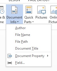 Screenshot of the document info menu on the Header/Footer tools Ribbon