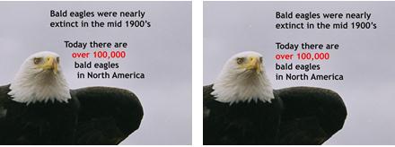 2 slides with photo enlarged to fill slide