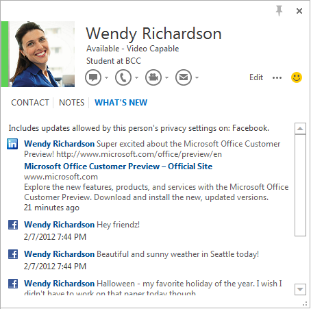 Outlook 2013 People Hub alternate view: Wendy Profile