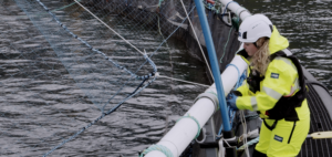 person working with netting on the water