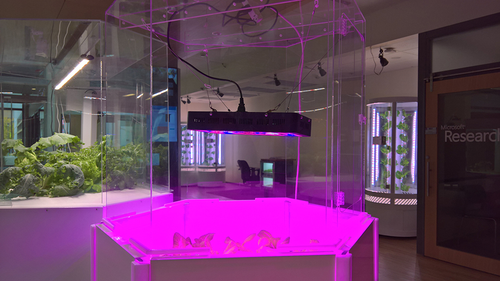 'Food Futures' Artist in Residence exhibit