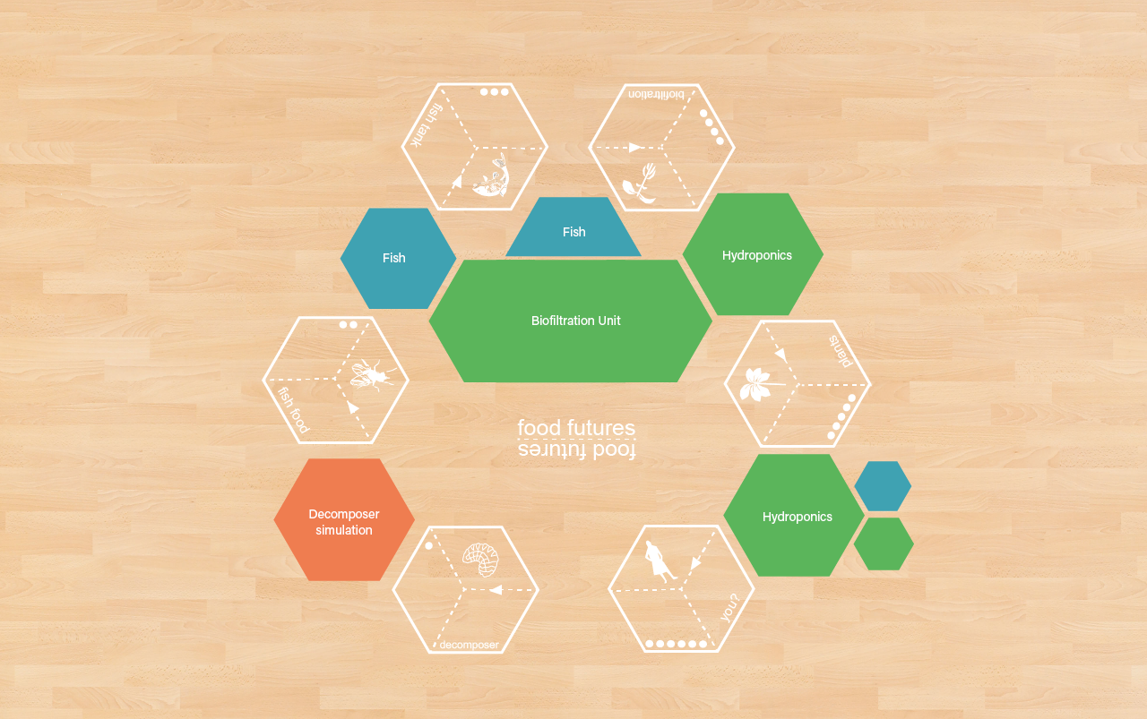 6 Stages of Ecosystem Floor Layout for Food Futures
