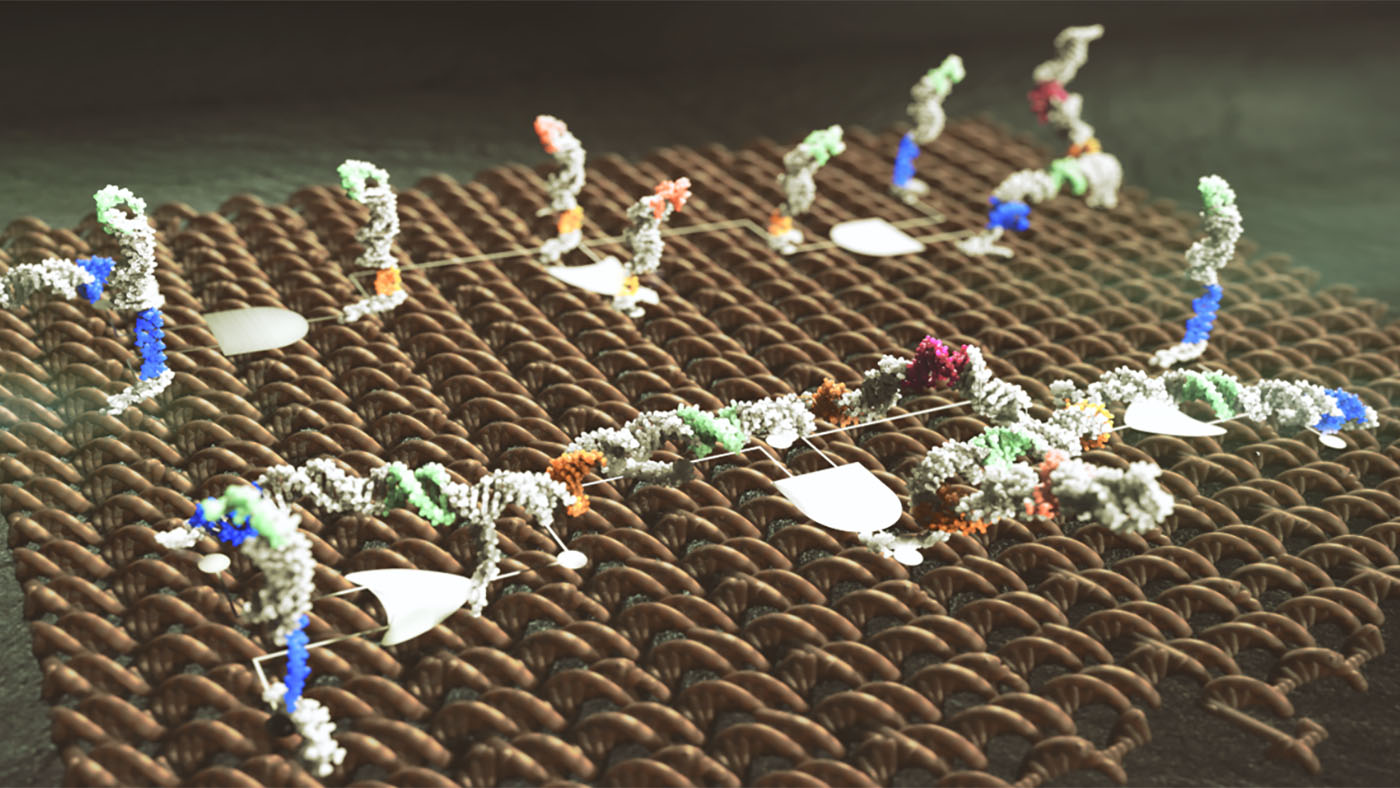 nanoscale computational circut boards