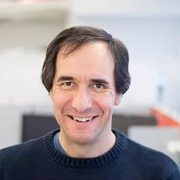 Portrait of Robert Schapire