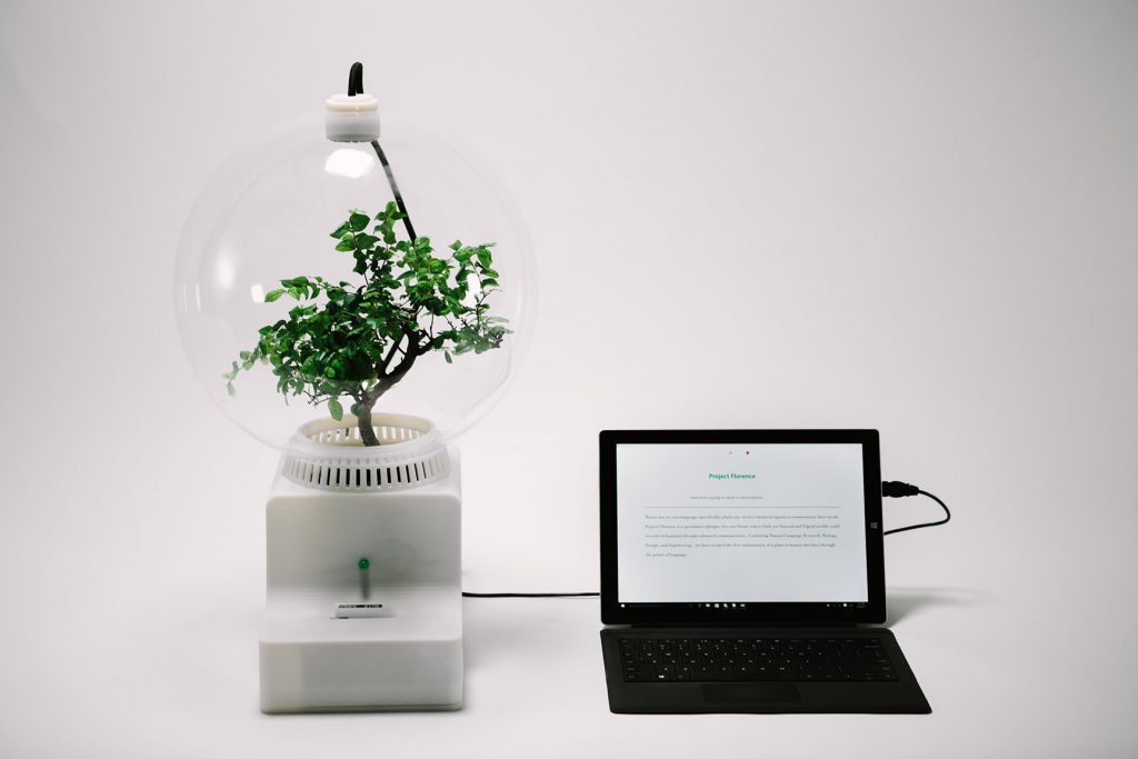 'Project Florence' Artist in Residence exhibit