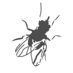 Aquaponic Stage 2: Flies