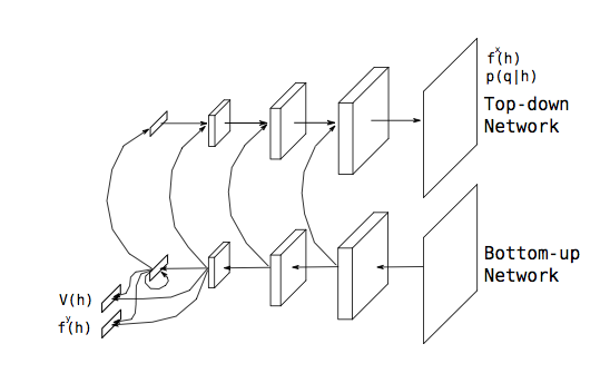 Top down and bottom up networks