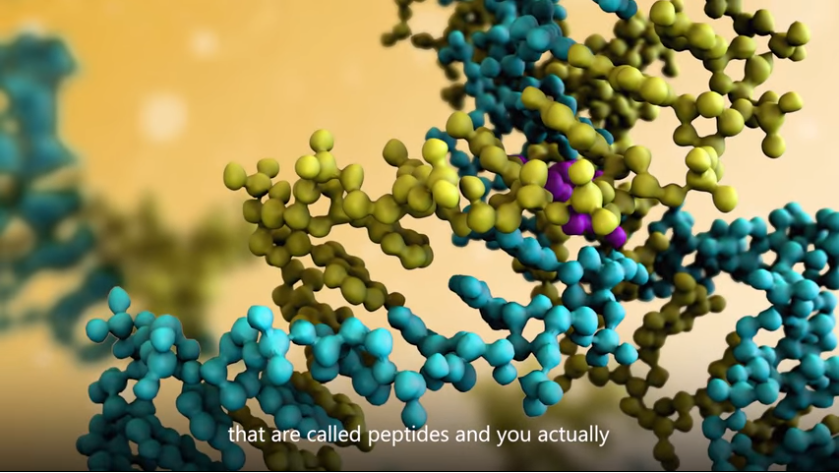 Helping proteomics scientists share peptide data: Azure does the heavy lifting