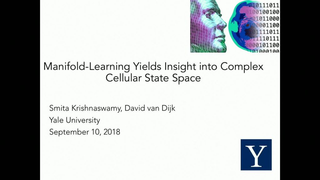 manifold learning yields insight STILL