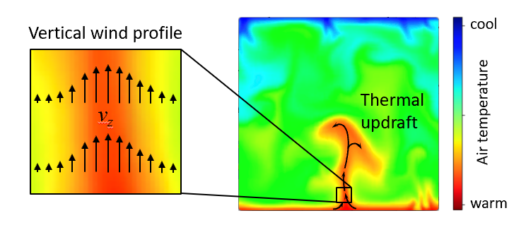 Figure 3: (Left) A schematic depiction of air movement within thermals and a sailplane's trajectory. (Right) A visualization of an actual thermal soaring trajectory from one of our sUAVs’ flights.