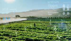 Farm field with AI overlay