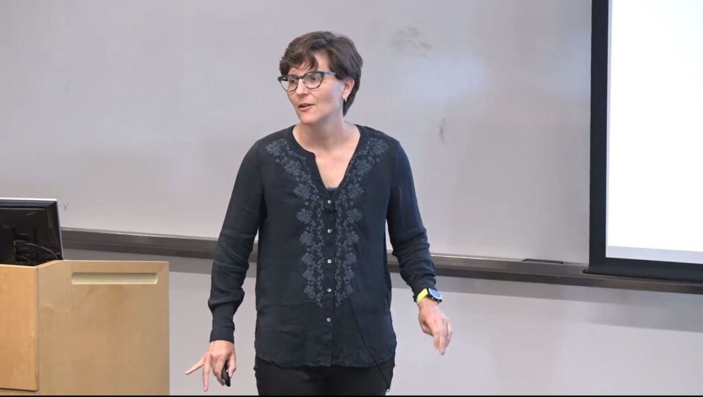 Anna Gilbert from University of Michigan giving talk at Microsoft Research's AI Institute “Geometry of Deep Learning” 2019 Workshop