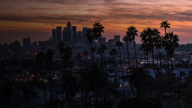 Sunset of skyline and palm trees inLos Angeles
