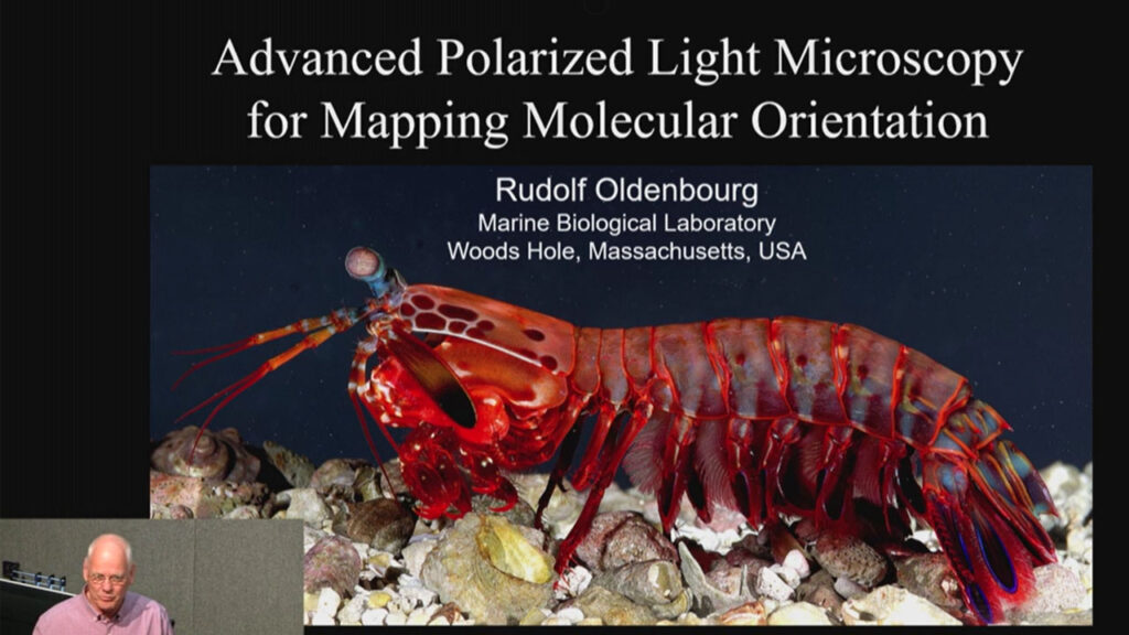 Video: Advanced polarized light microscopy for mapping molecular orientation
