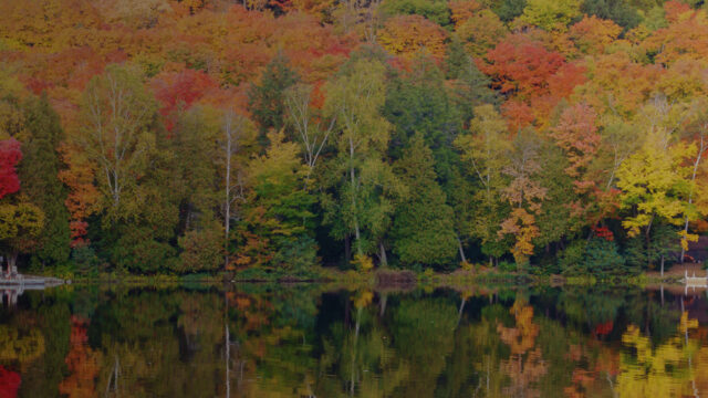 Reflection of fall foliage on a calm lake in Muskoka region, Ontario, Canada where SOSP 2019 is being held.