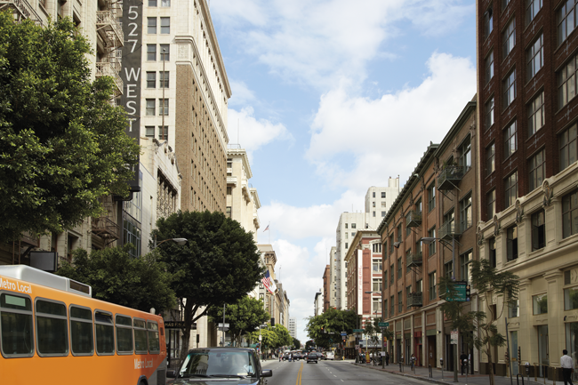Image of a treelined street with tall buildings on either side. There’s light traffic and a bus.