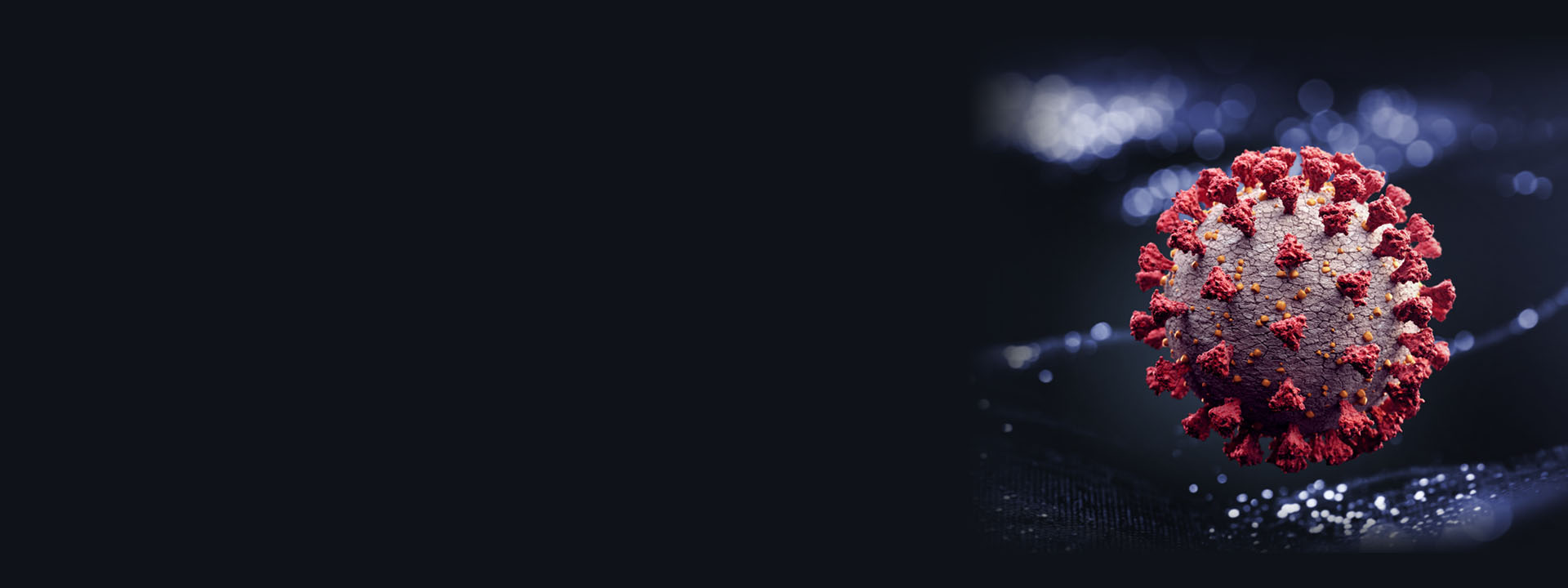 microscopic image of coronavirus COVID-19