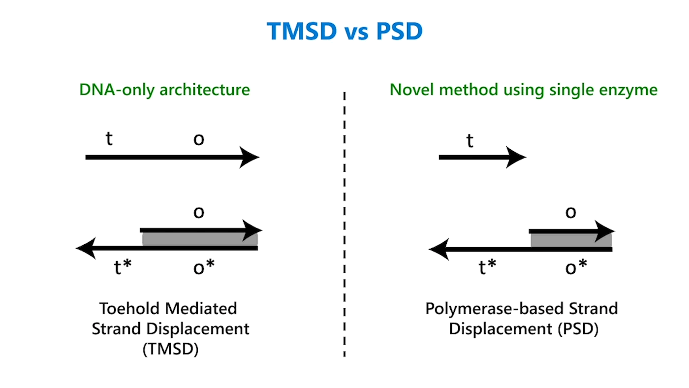 애니메이션 GIF 이미지