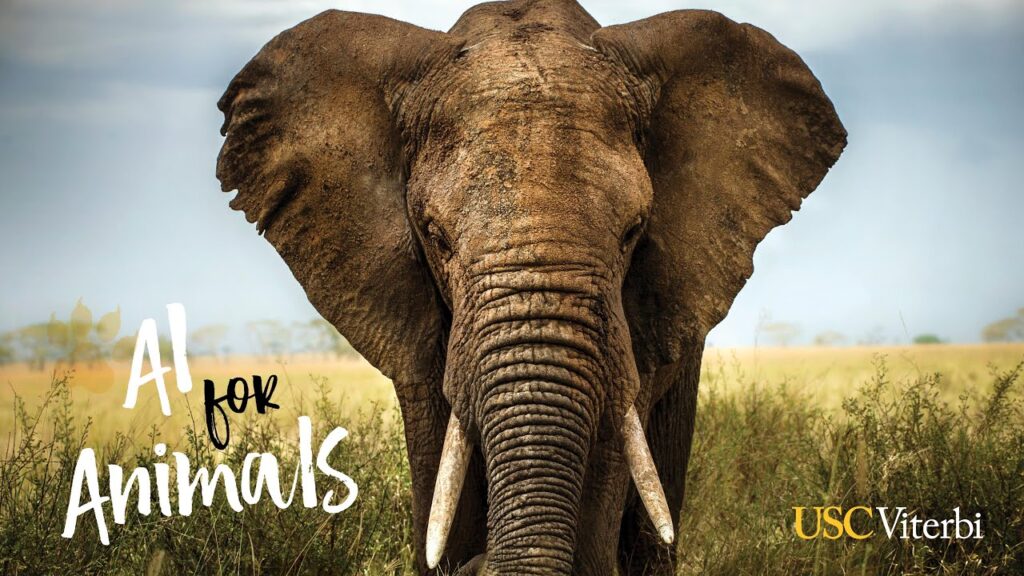 a close up of an elephant