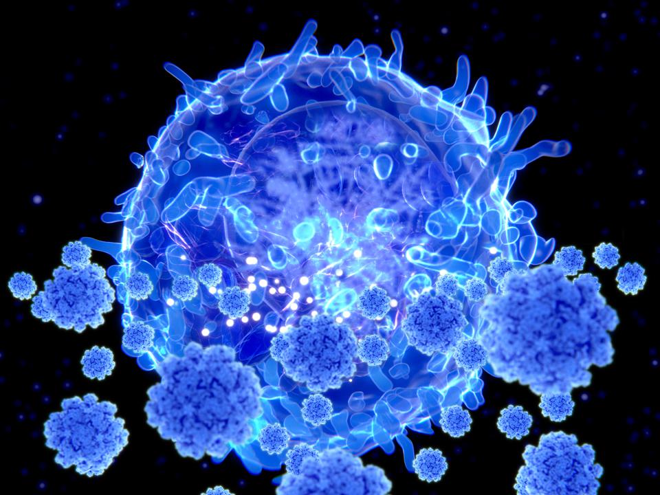 T-cell